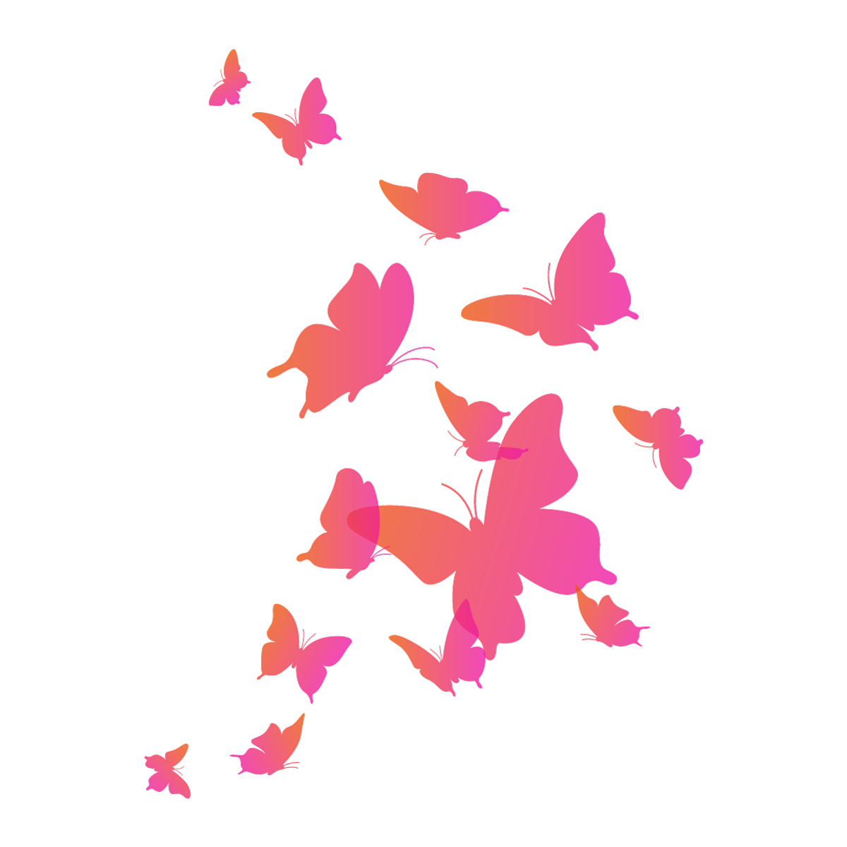butterflies